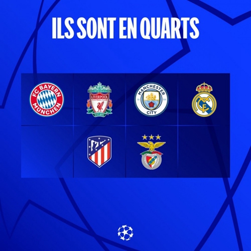 楚球队已经 楚球队已经